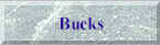 bucks.jpg (1707 bytes)